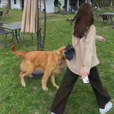 男人女人粤语